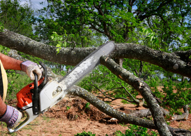 Mulching Services in Morada, CA